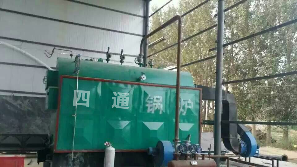 生物質(zhì)蒸汽鍋爐